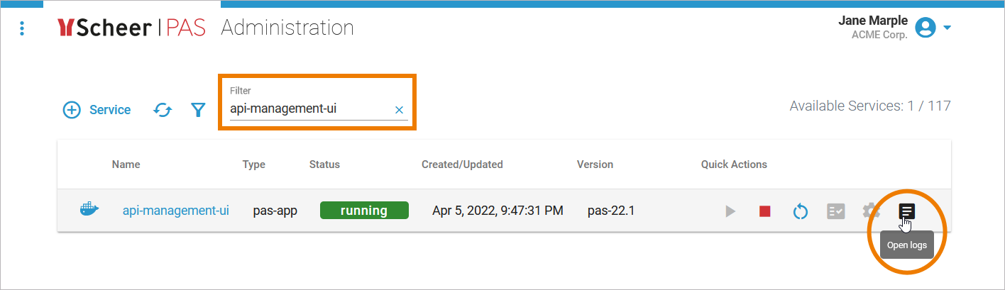 filter_api_logs.png