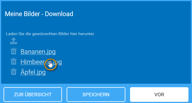 ausführung_download.png