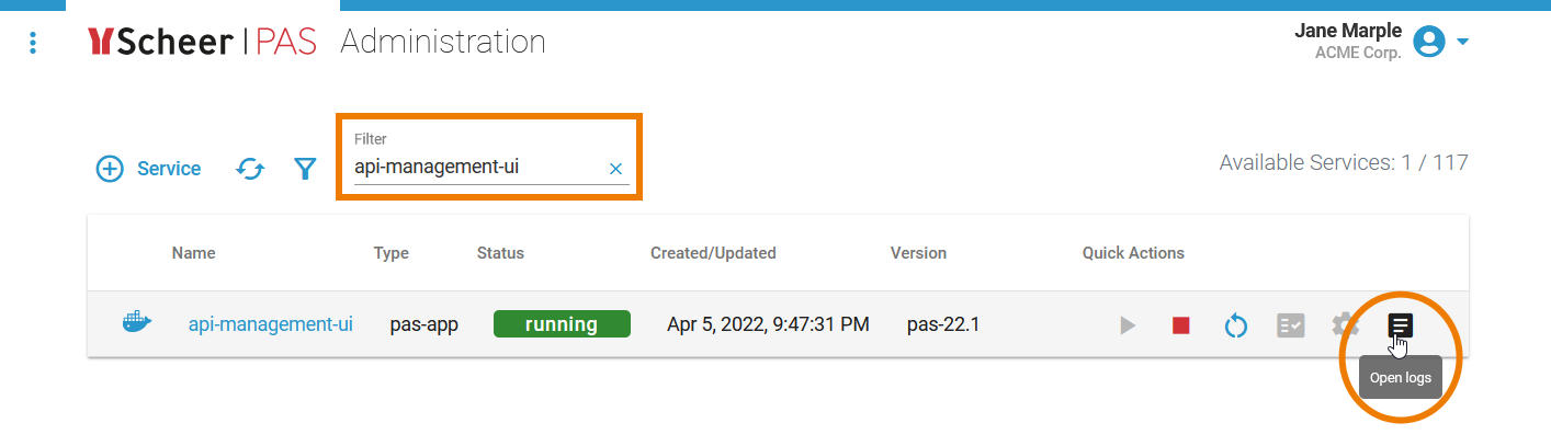 filter_api_logs.png