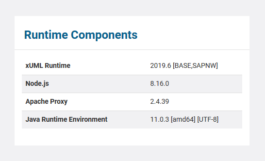 sap_runtime_updated.png