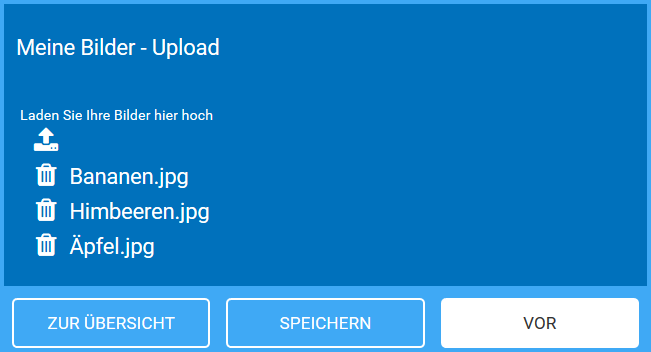 ausführung_upload.png