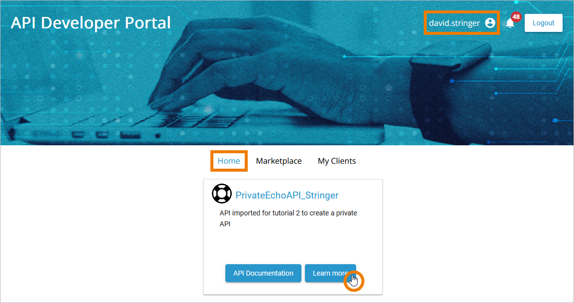 private_api_in_portal.png