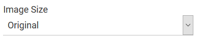 form_image_size.png