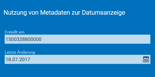 metadaten_als_feldname_ausführung.png