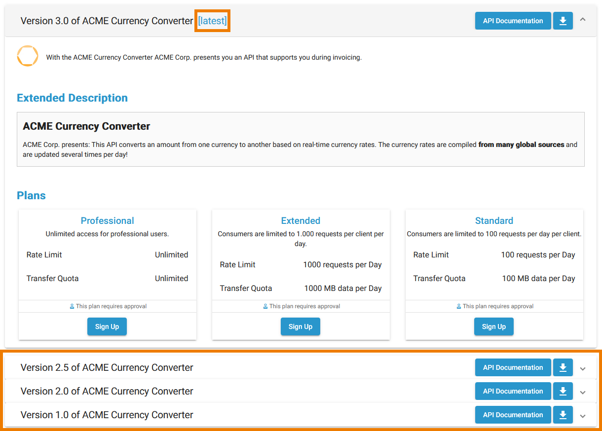 api_details_page.png